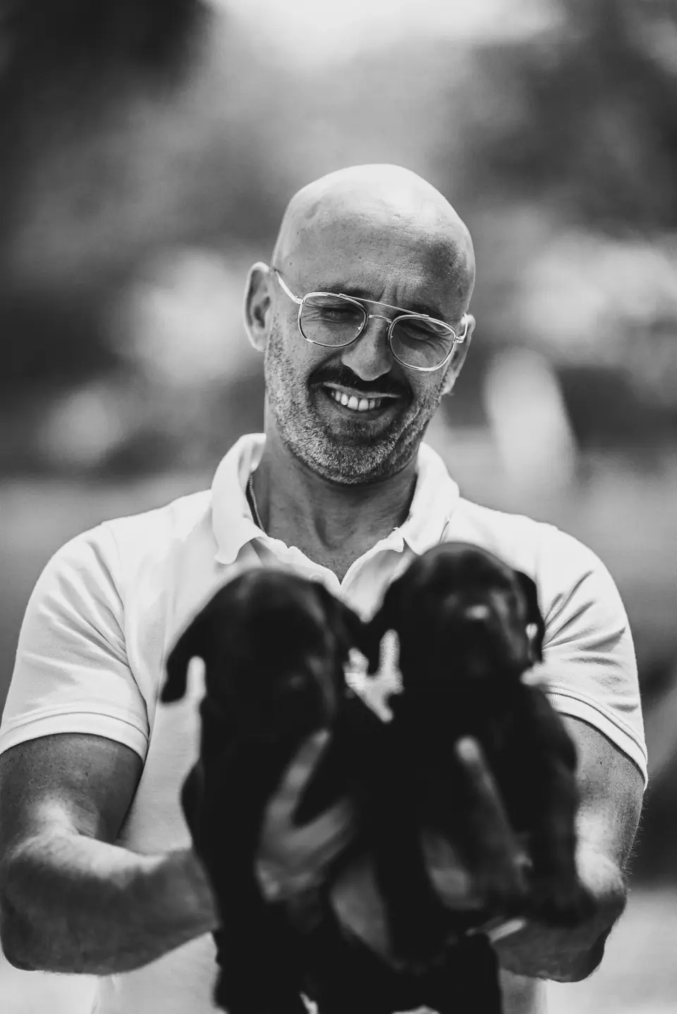 Rui Navarro