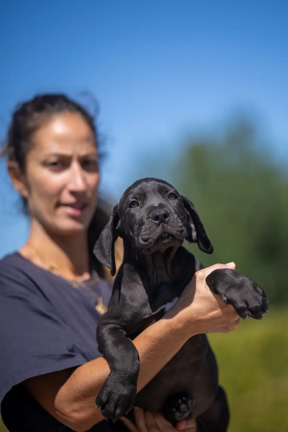 Black male Boerboel puppy, Floki × Bruxa litter, photo 3