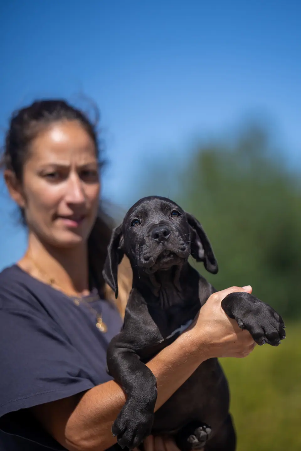 Black male Boerboel puppy, Floki × Bruxa litter, photo 4
