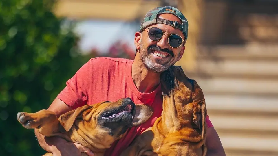 Boerboel vs Working-Line German Shepherd: Which One Should You Get?