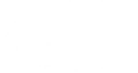 Elite Boerboels