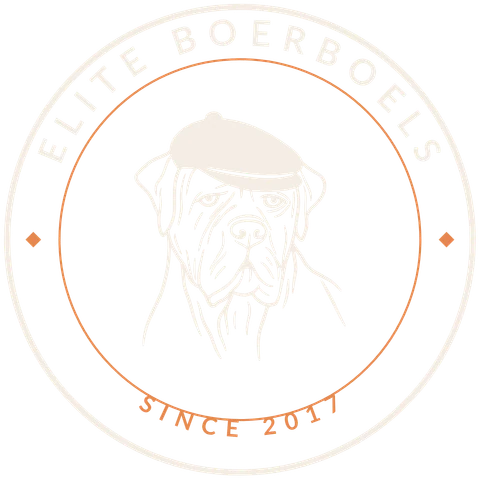 Elite Boerboels