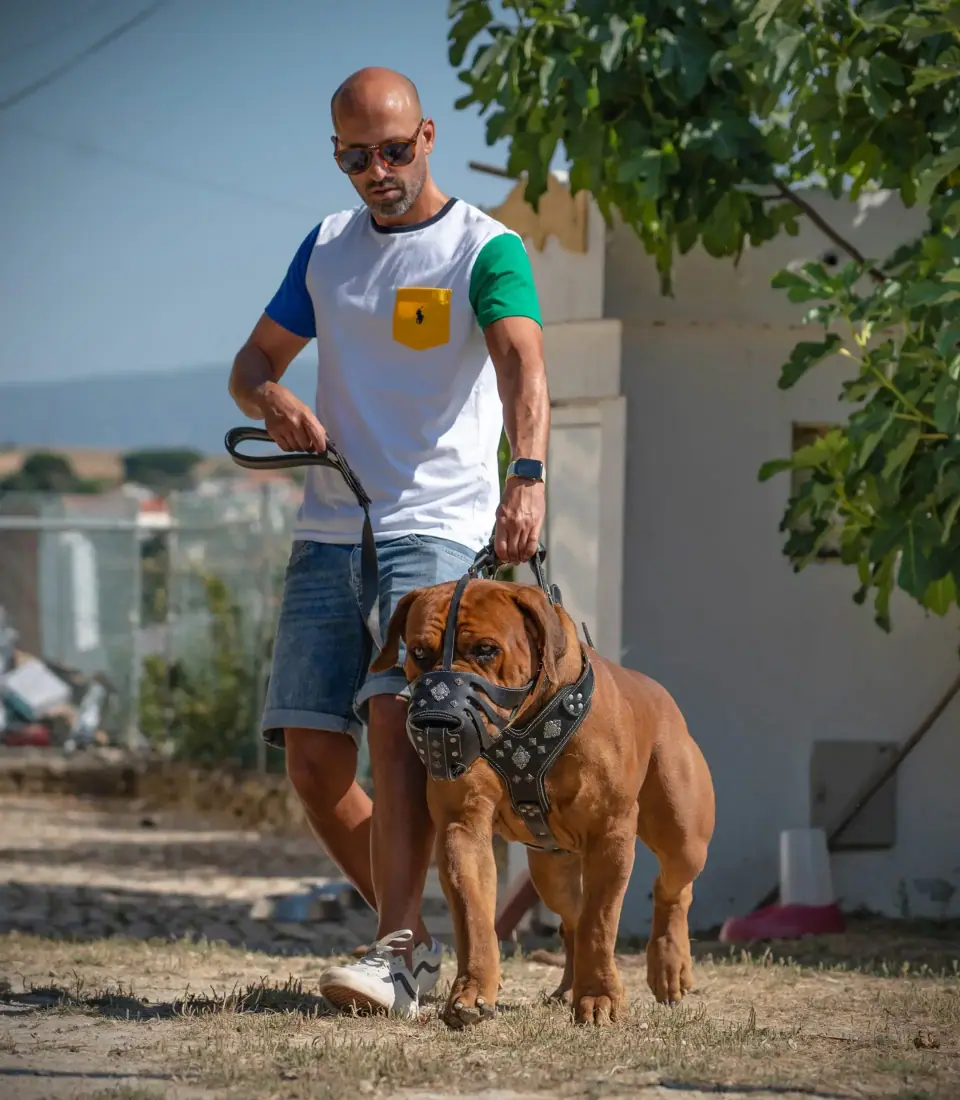 Rui Navarro with Tarzan, a Boerboel wearing a muzzle outdoors